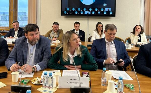 С предложениями на заседании комитета Государственной Думы выступила Юлия Еремина